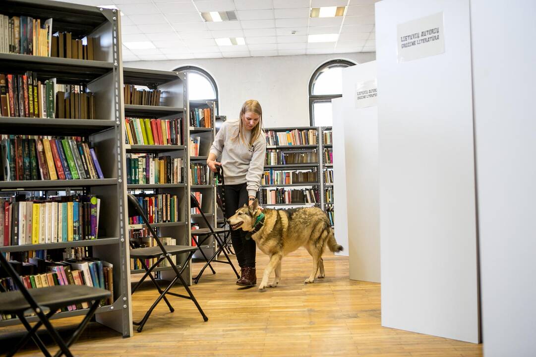 2019-ųjų Laimės diena Kaune