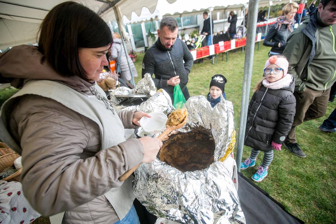 Derliaus šventė VDU botanikos sode