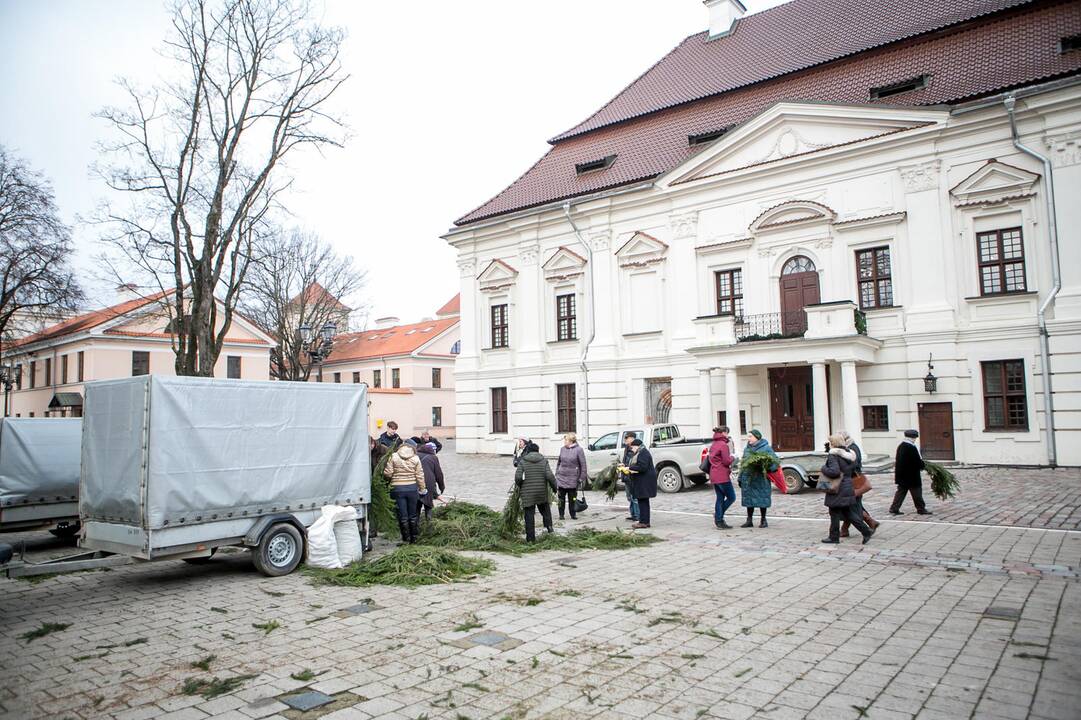 Eglių šakų dalijimo akcija Kaune