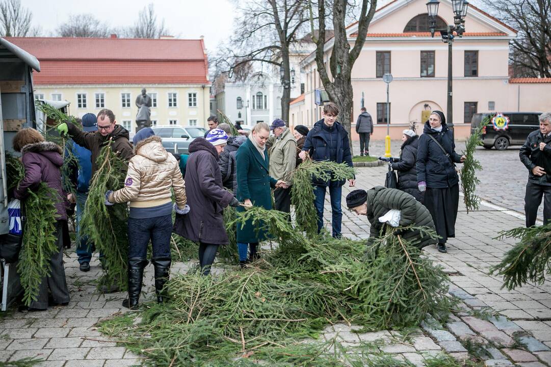 Eglių šakų dalijimo akcija Kaune