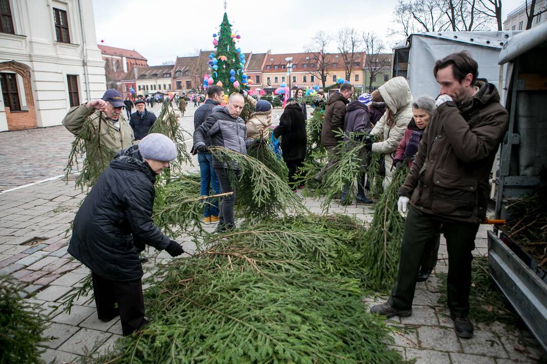 Eglių šakų dalijimo akcija Kaune