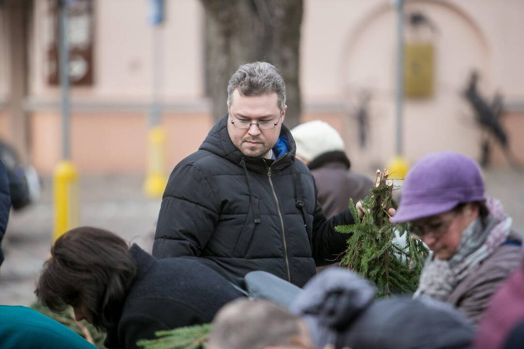 Eglių šakų dalijimo akcija Kaune