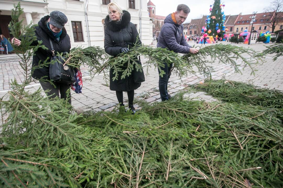 Eglių šakų dalijimo akcija Kaune