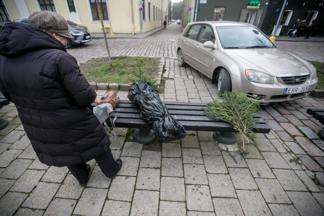 Eglių šakų dalijimo akcija Kaune