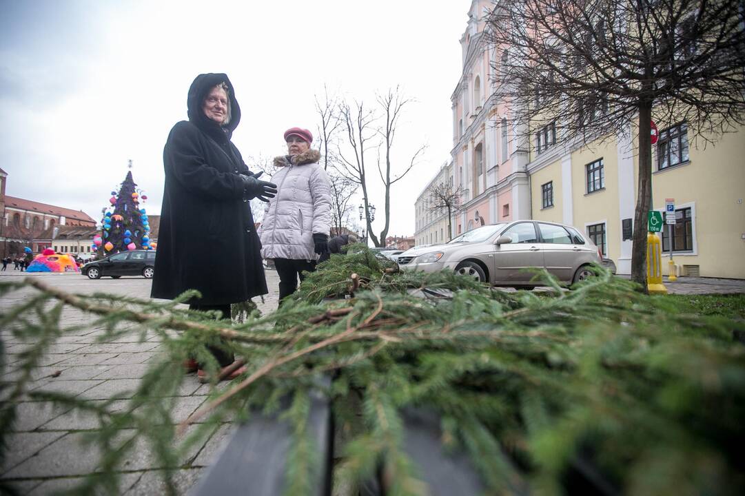 Eglių šakų dalijimo akcija Kaune