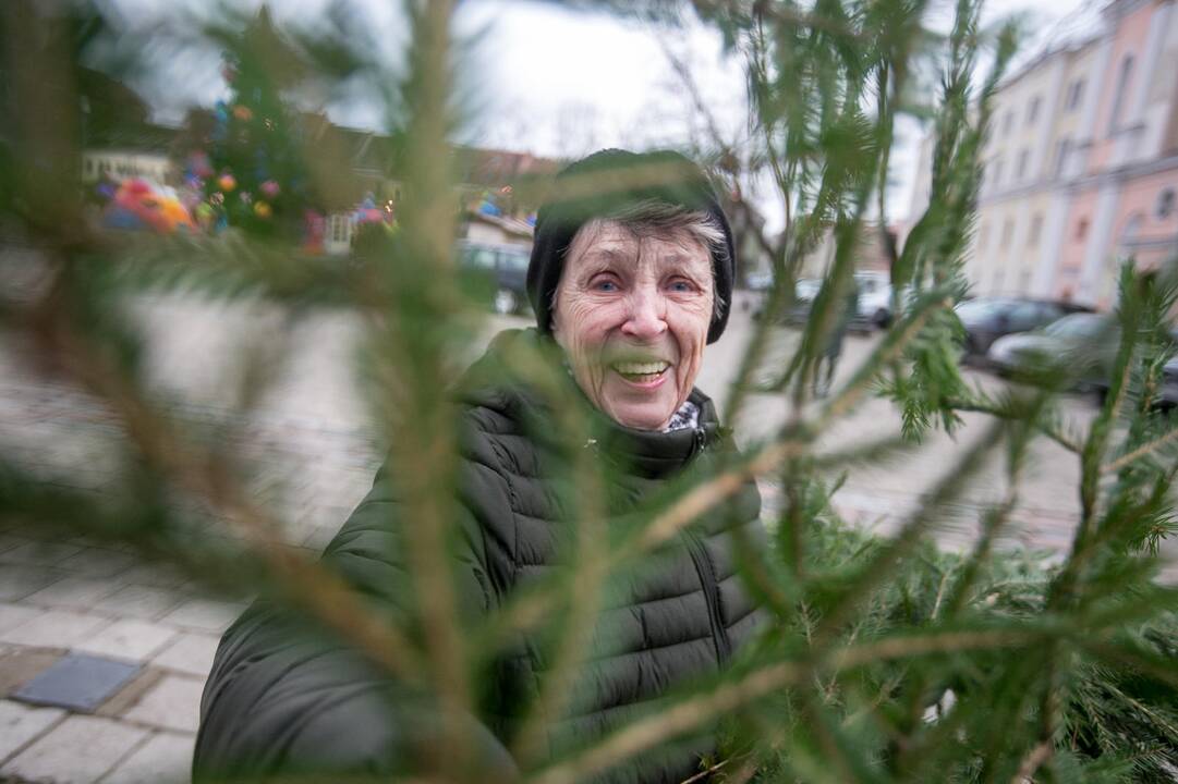 Eglių šakų dalijimo akcija Kaune