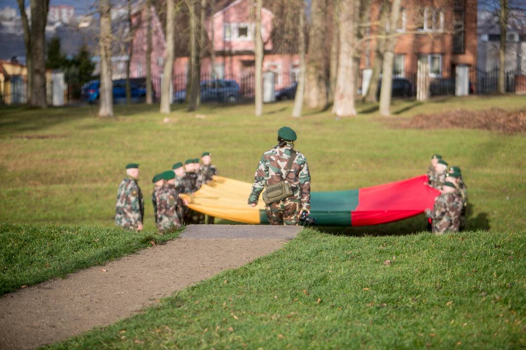 Rekordinė vėliava Pelėdų kalne