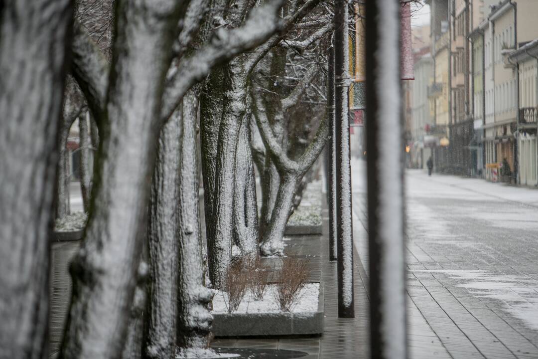 Sekmadienį Kauną nuklojo sniegas