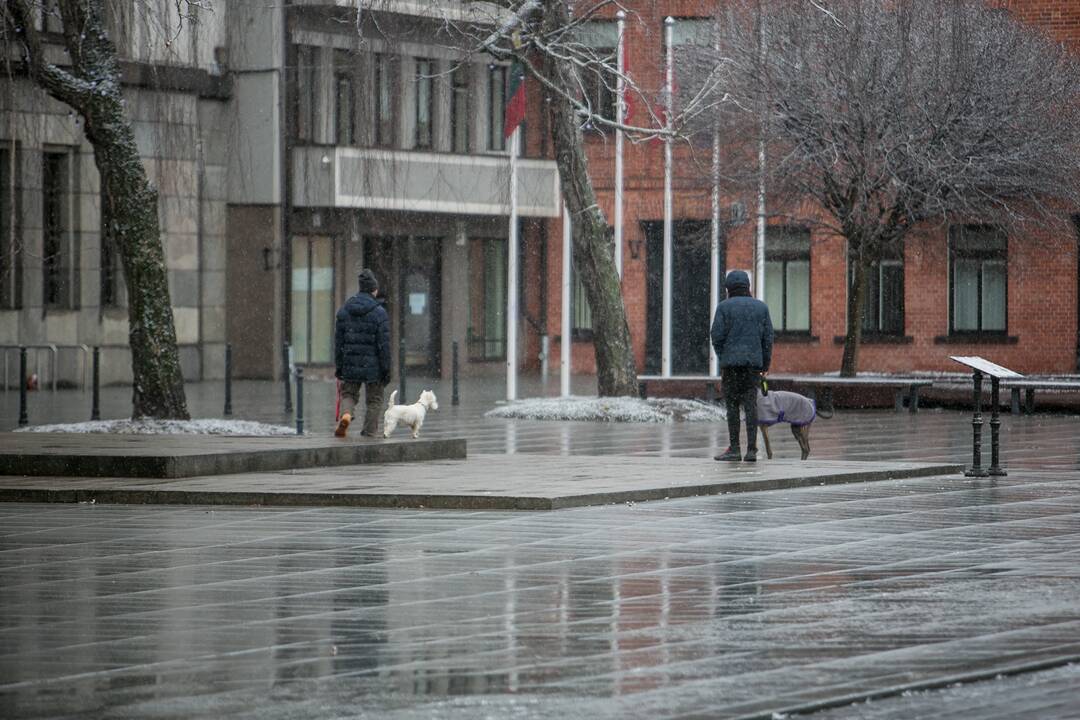 Sekmadienį Kauną nuklojo sniegas