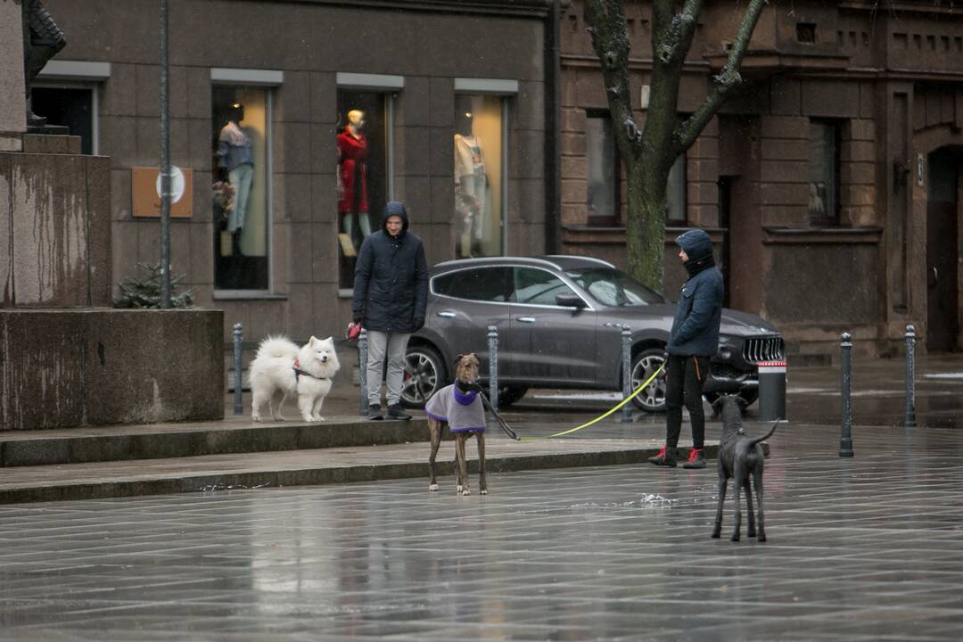 Sekmadienį Kauną nuklojo sniegas