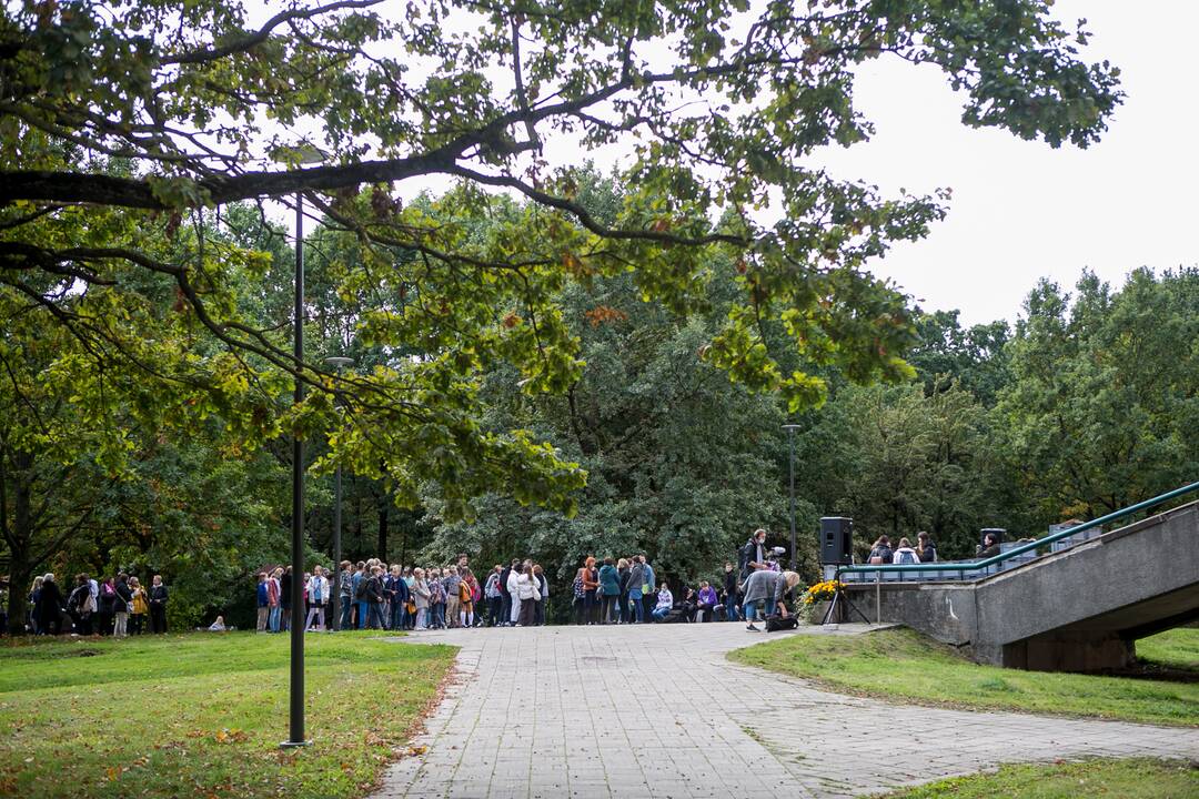 Viešosios bibliotekos iškraustymo akcija