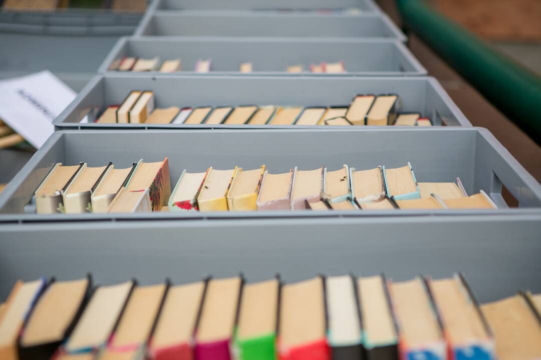 Viešosios bibliotekos iškraustymo akcija