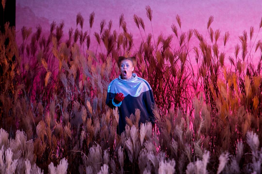 Kauno valstybiniame muzikiniame teatre – Lietuvos profesionalaus teatro šimtmečio minėjimas