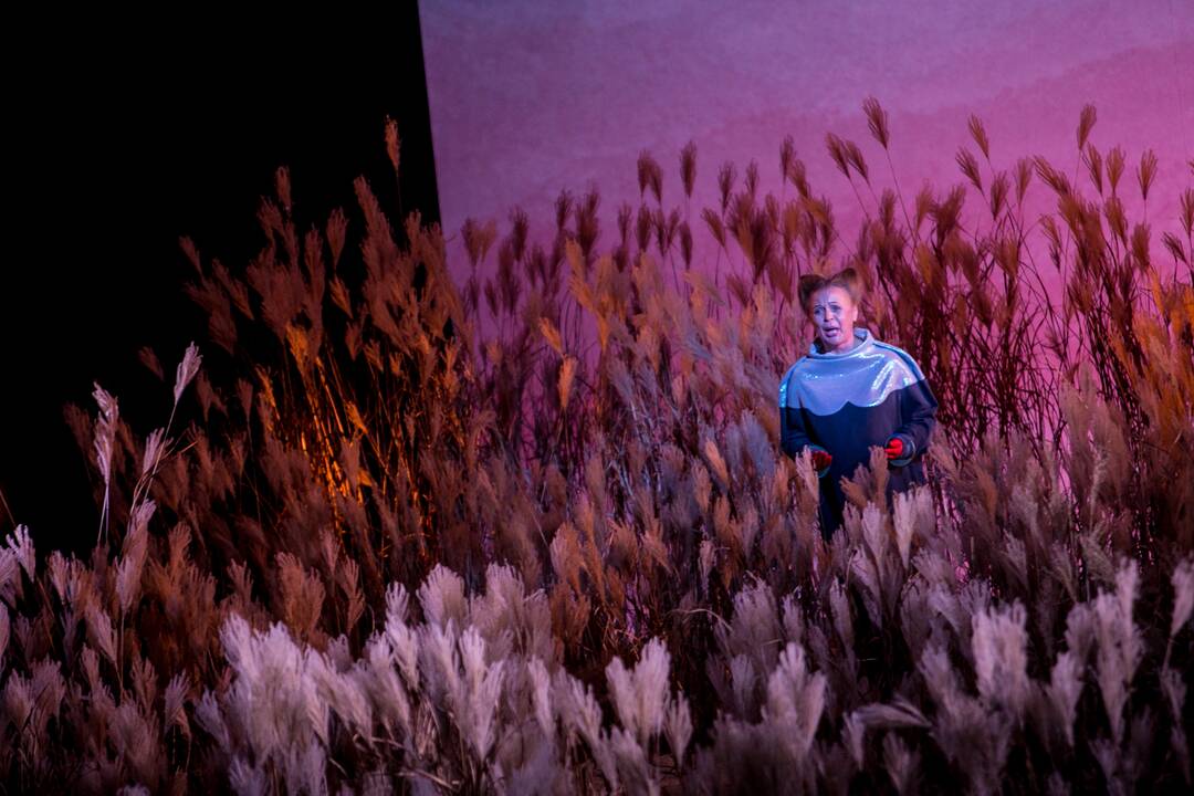 Kauno valstybiniame muzikiniame teatre – Lietuvos profesionalaus teatro šimtmečio minėjimas