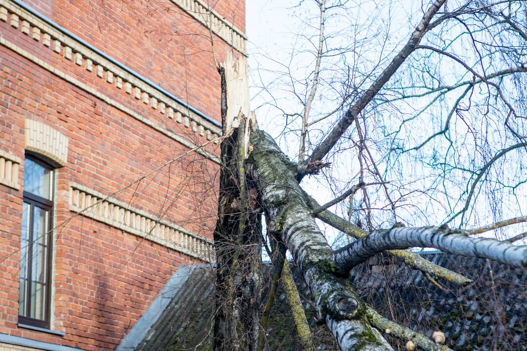 Stiprus vėjas Kaune apgadino namų stogus