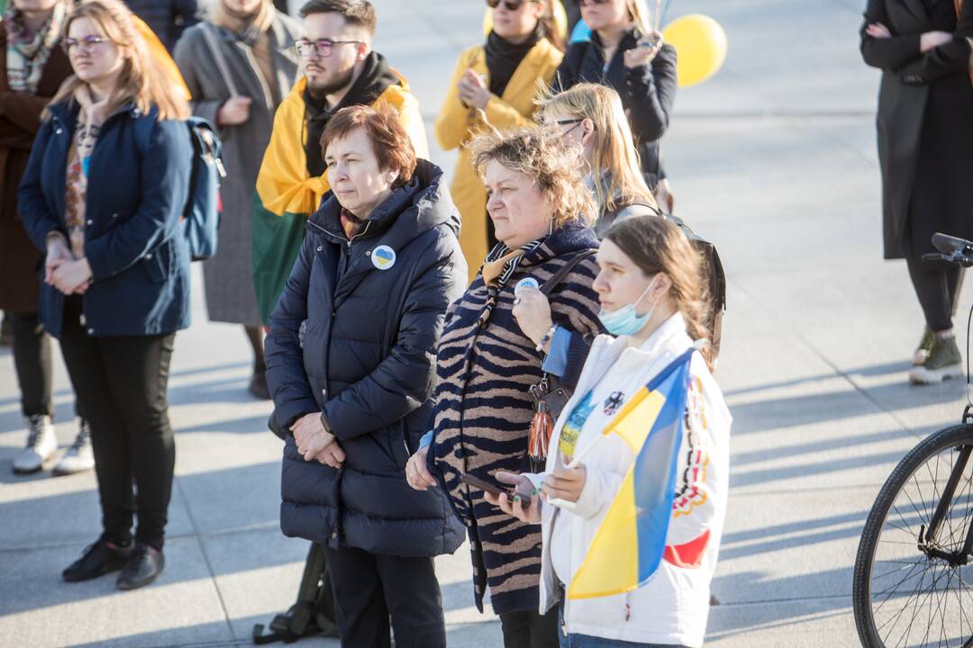 Ukrainos palaikymo akcija Vienybės aikštėje