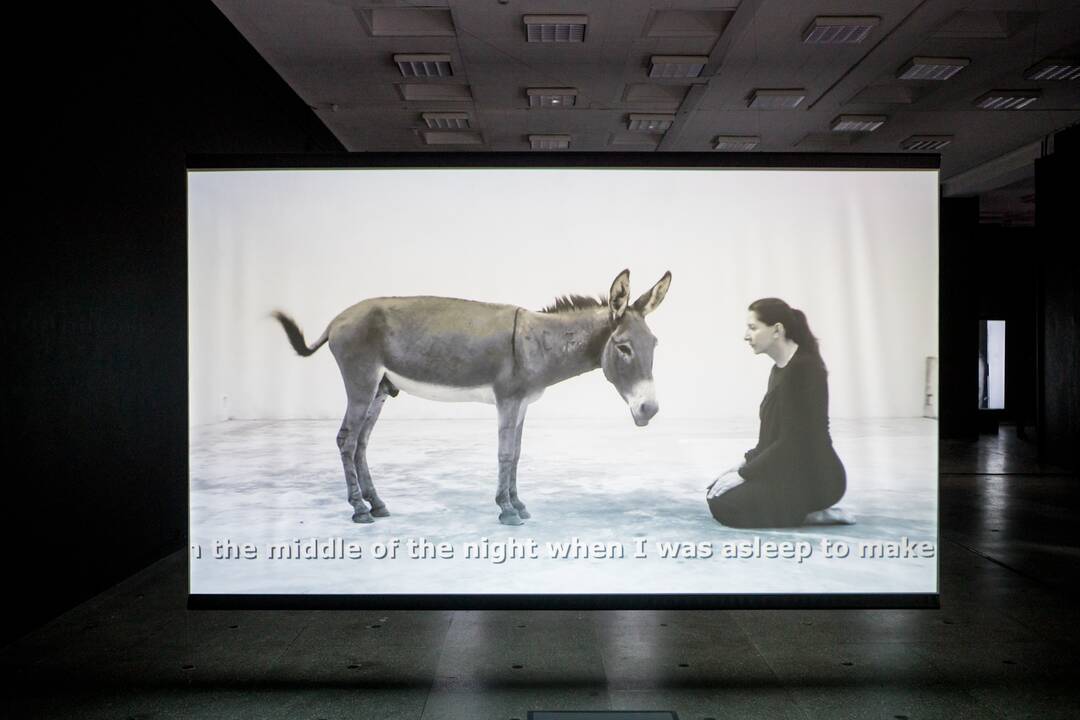 Marinos Abramović spaudos konferencija ir parodos pristatymas Kauno paveikslų galerijoje