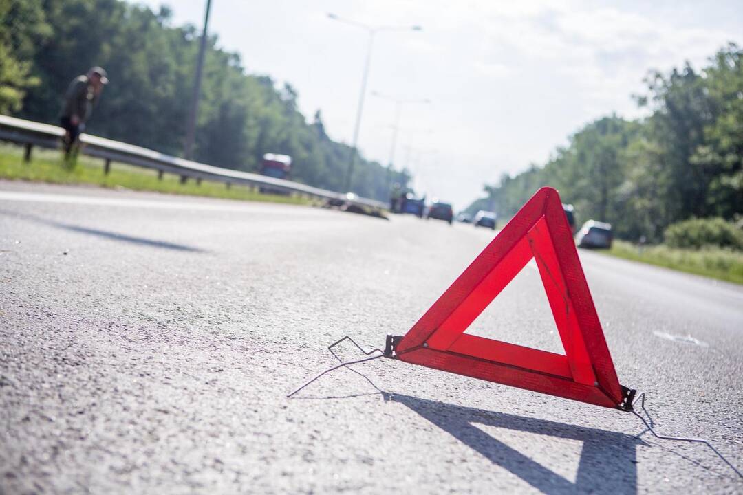Autostradoje Kaunas-Vilnius partrenktas briedis