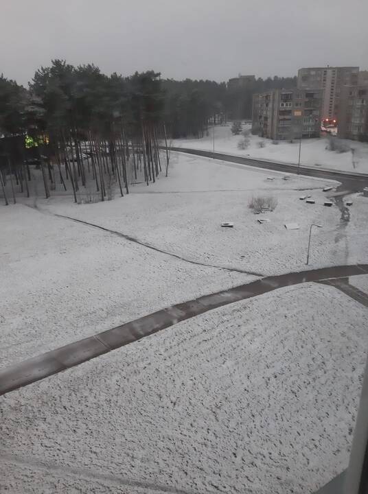 Pirmojo sniego vaizdai Lietuvoje