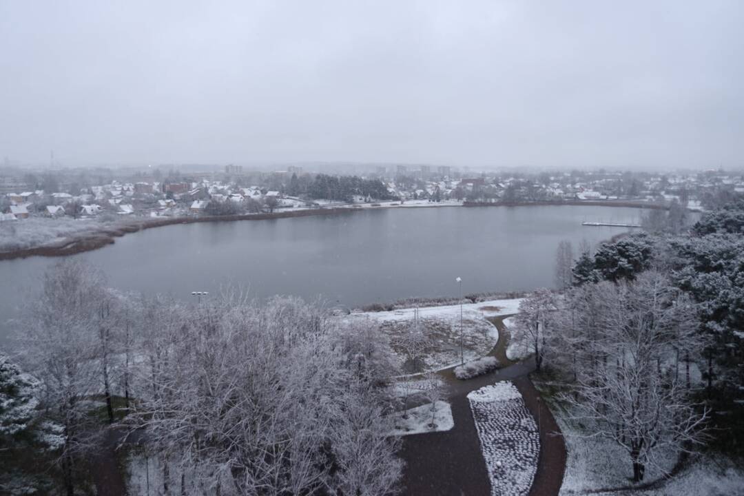 Pirmojo sniego vaizdai Lietuvoje