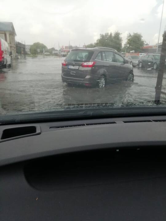 Liūtis ir kruša Kaune