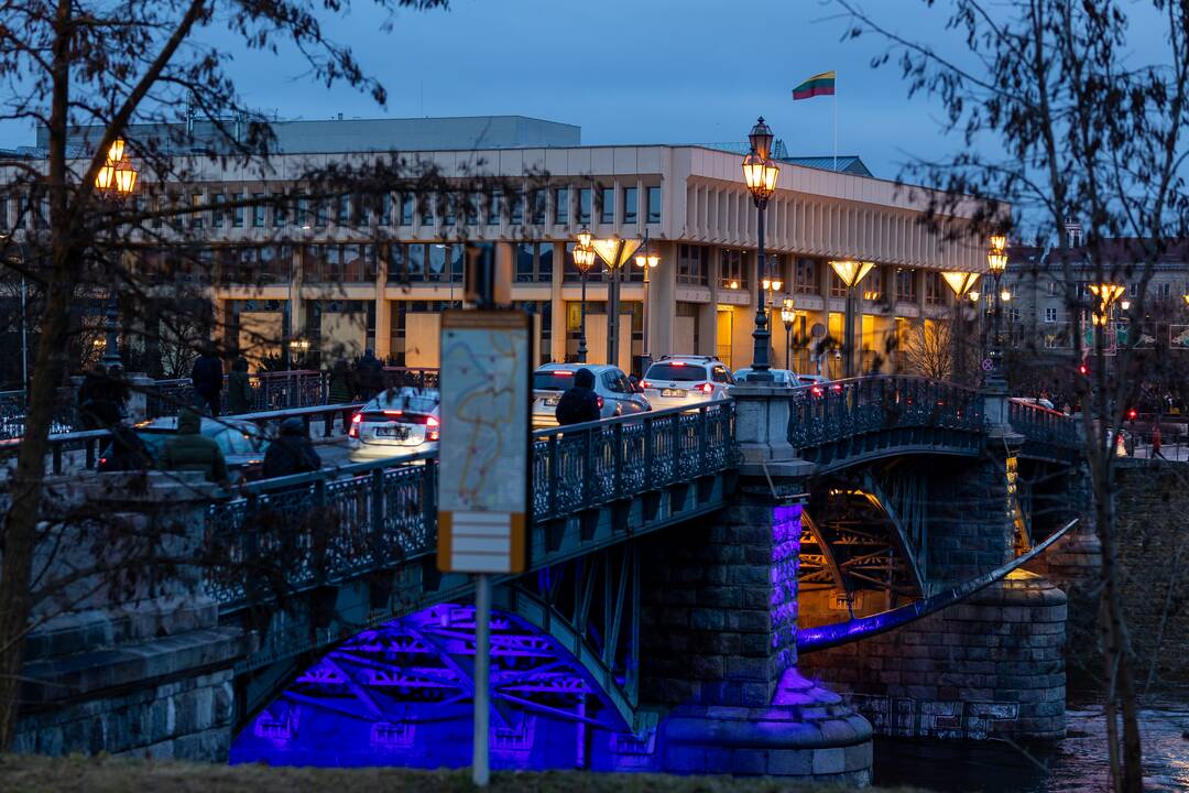 Vienybės ir solidarumo akcija „Laisvė šviečia“ Vilniuje