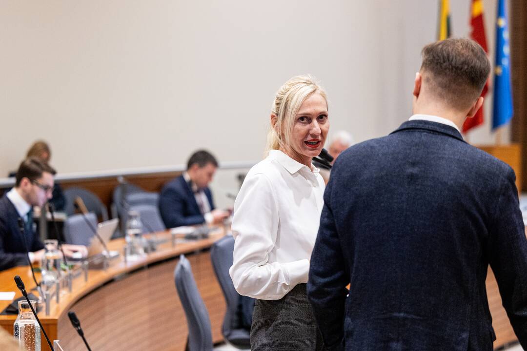 Vilniaus miesto savivaldybės tarybos posėdis