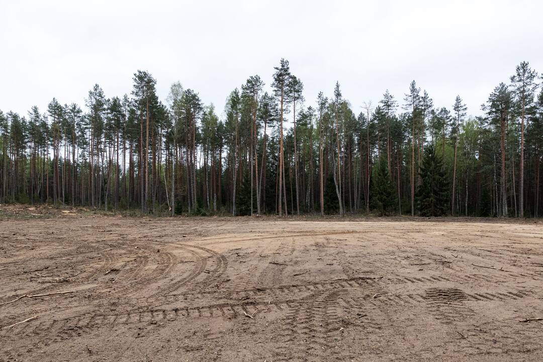 JAV karių žūties vietos incidento padarinių likvidavimo darbų pristatymas