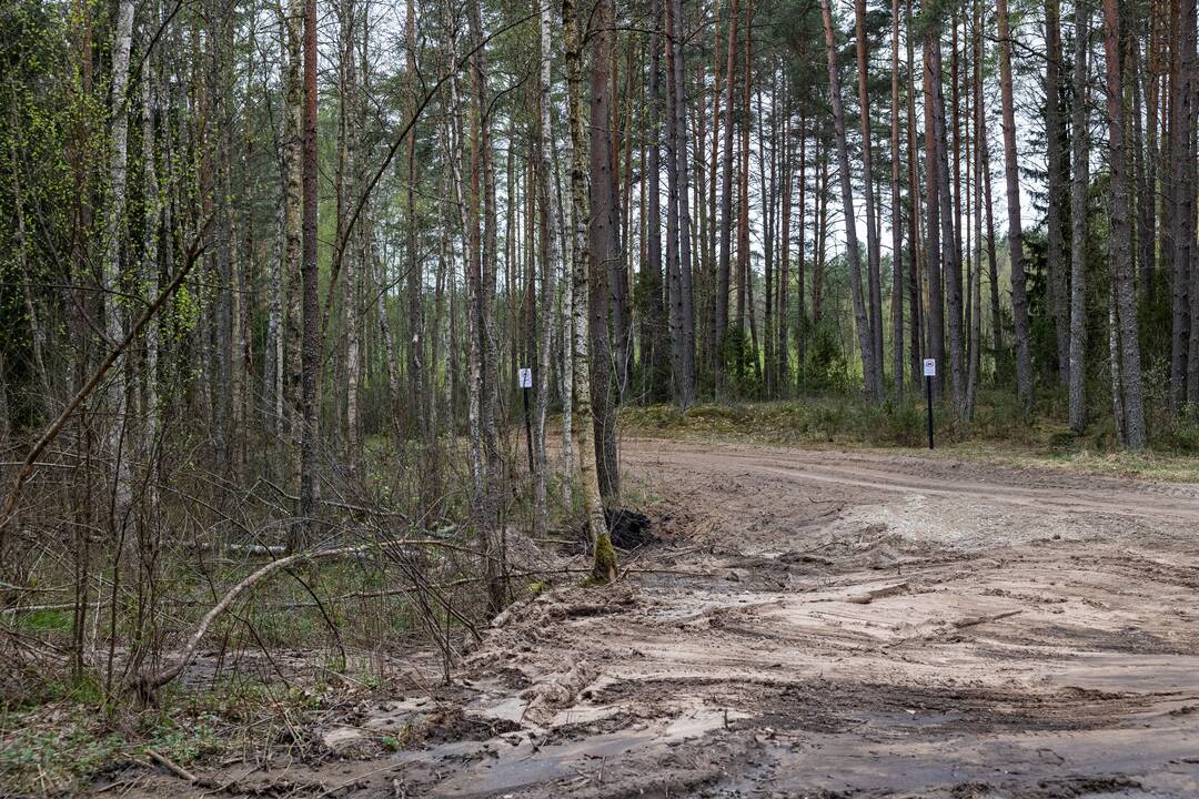 JAV karių žūties vietos incidento padarinių likvidavimo darbų pristatymas