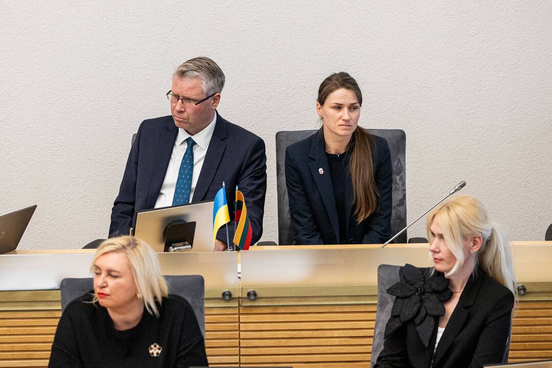 Balsavimas dėl Linos Petronienės paskyrimo į VRK pirmininkus