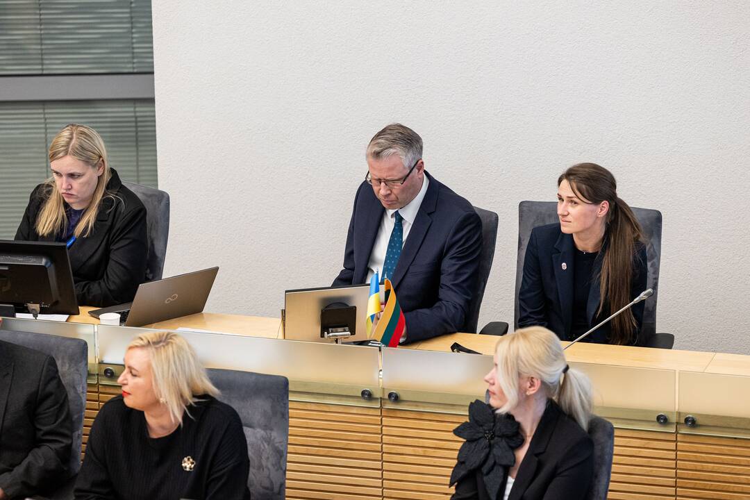 Balsavimas dėl Linos Petronienės paskyrimo į VRK pirmininkus