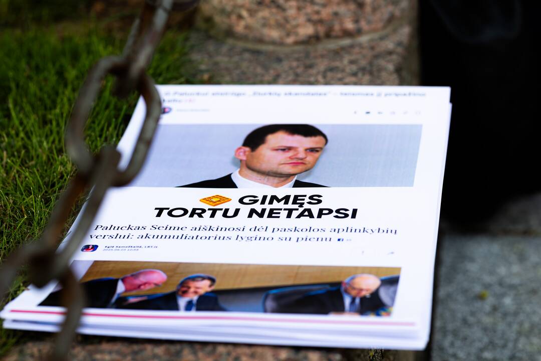 Jaunųjų konservatorių lygos protestas „Gintautai, rinkis: valstybė ar įmonė“