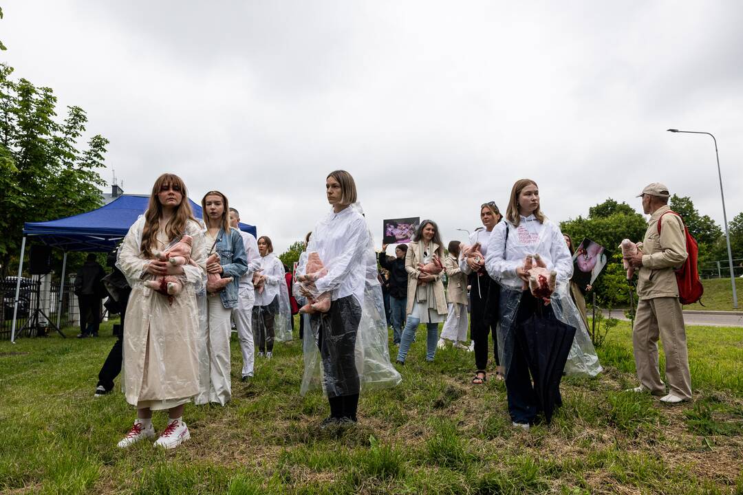 Protestas prie Valstybinės maisto ir veterinarijos tarnybos
