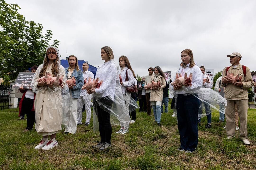 Protestas prie Valstybinės maisto ir veterinarijos tarnybos