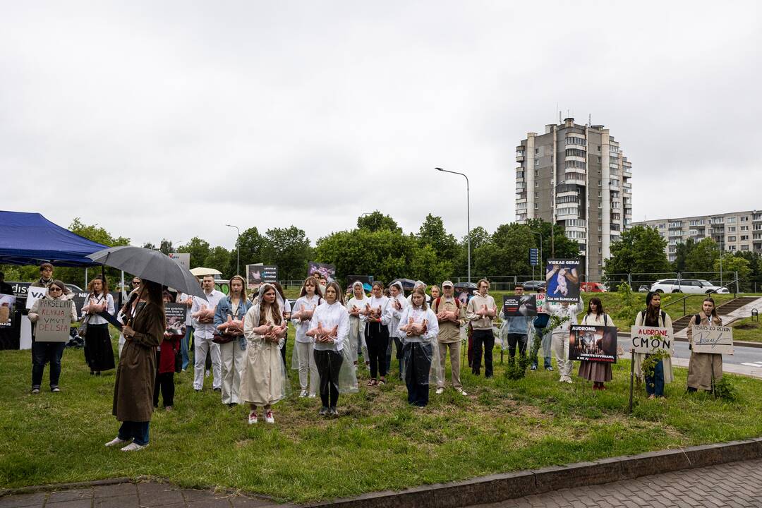 Protestas prie Valstybinės maisto ir veterinarijos tarnybos