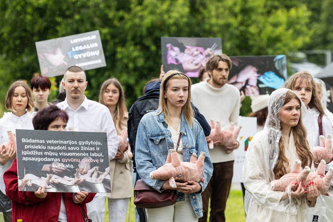 Protestas prie Valstybinės maisto ir veterinarijos tarnybos