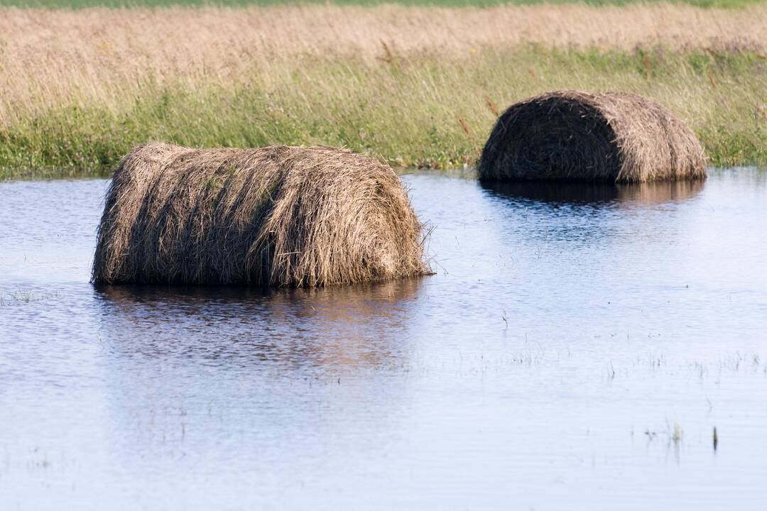 Nukentėjusiems nuo liūčių – daugiau pigesnių degalų