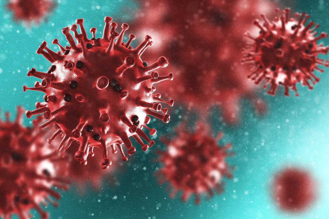 Vokietijoje įtariamas užsikrėtimas nauja COVID-19 atmaina