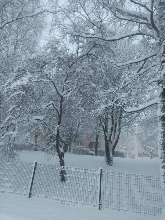 Sniego pusnys Vakarų Lietuvoje