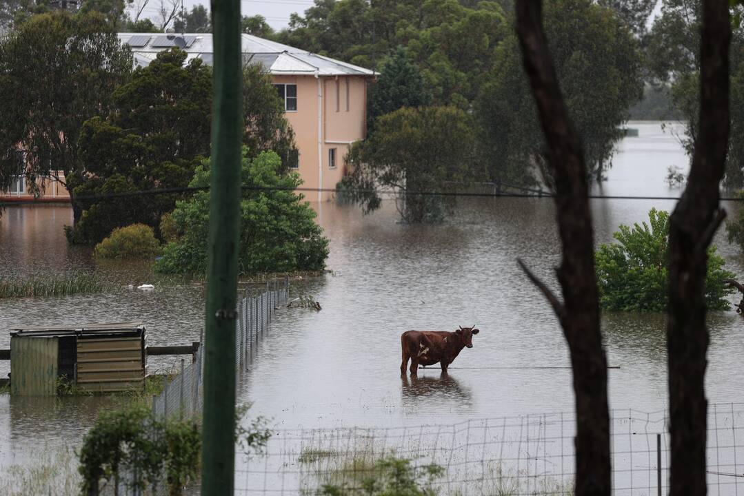 Potvyniai Australijoje