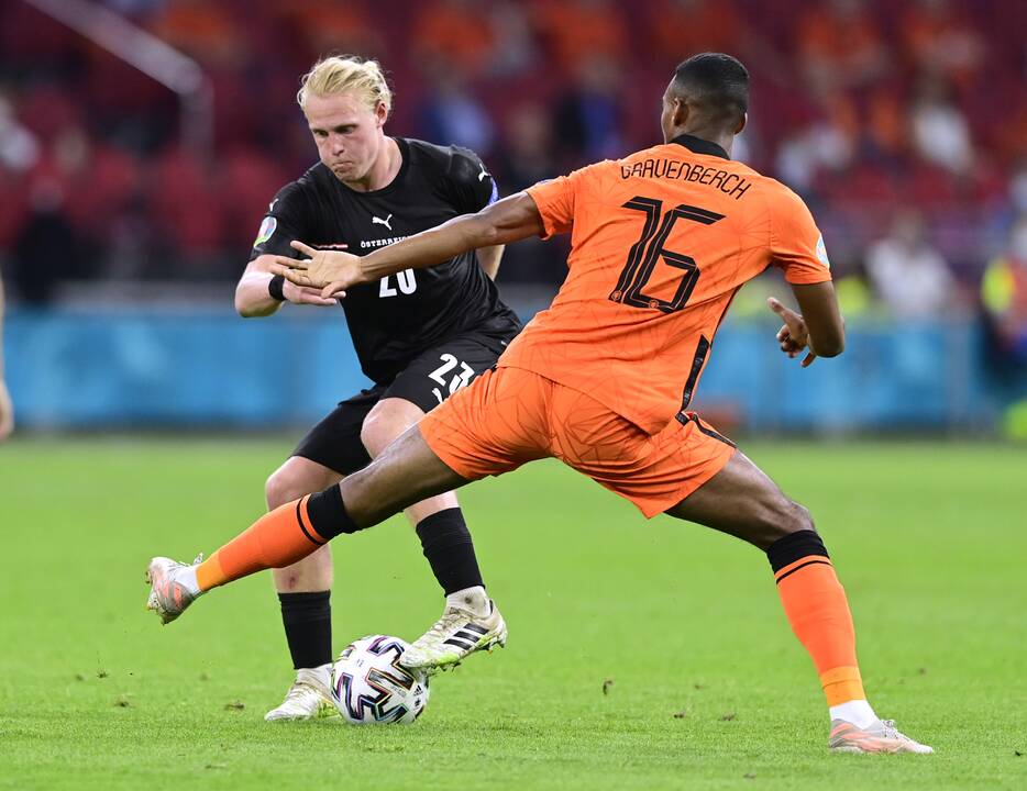 Europos futbolo čempionatas: Nyderlandai–Austrija 2:0