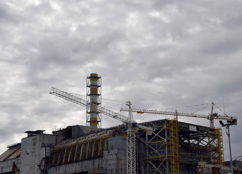 Baltarusiškame piene Černobylio nuosėdos 10 kartų viršija normą