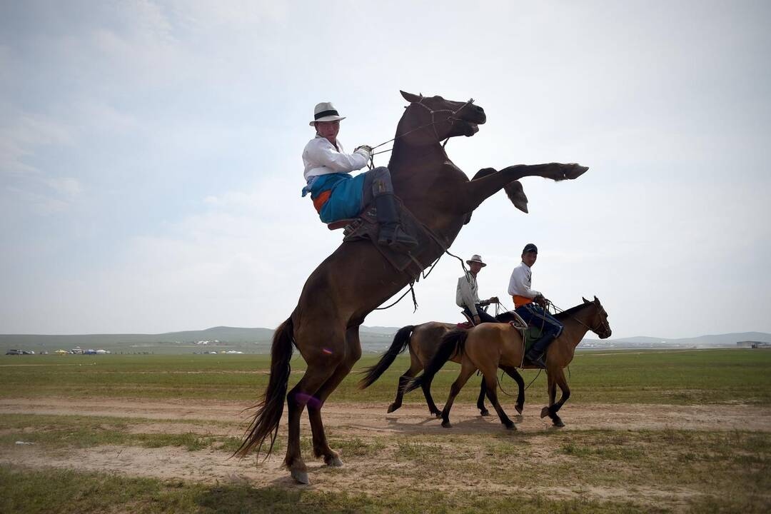 Įsikūrę Mongolijos sostinėje, buvę klajokliai kenčia dar didesnį skurdą