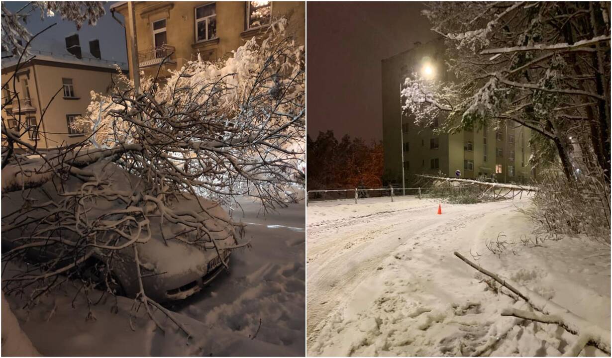 ESO: be elektros yra apie 50 tūkst. namų ūkių