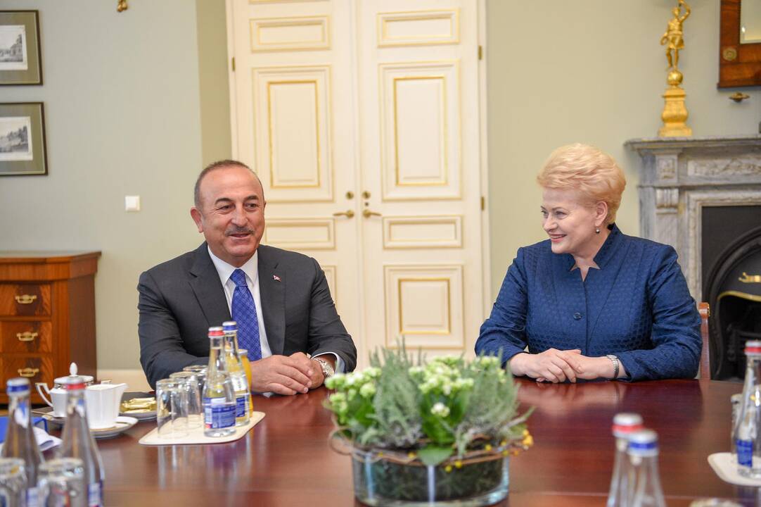 Mevlutu Cavugoğlu ir Dalia Grybauskaitė