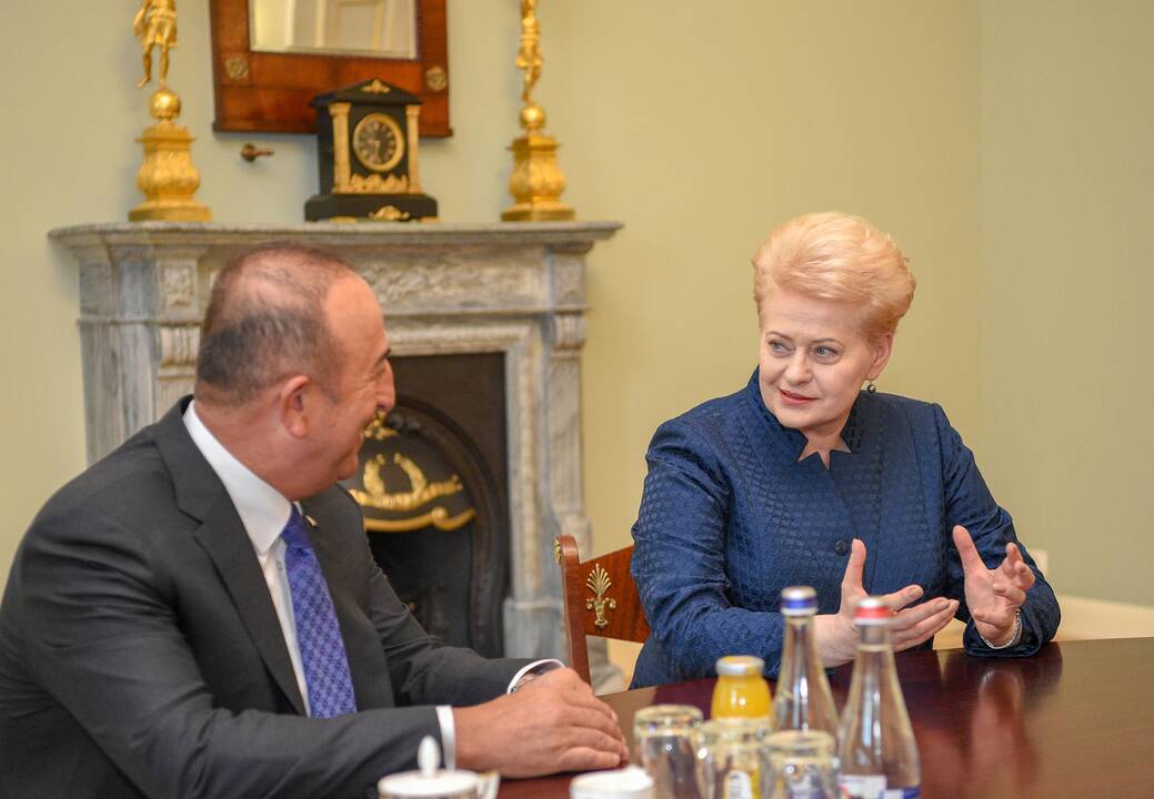 Mevlutu Cavugoğlu ir Dalia Grybauskaitė