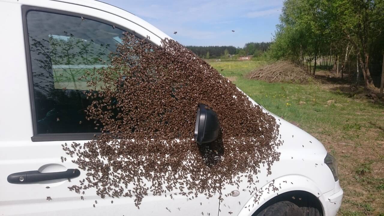 Ramūnas Žemaitis su sūnumi