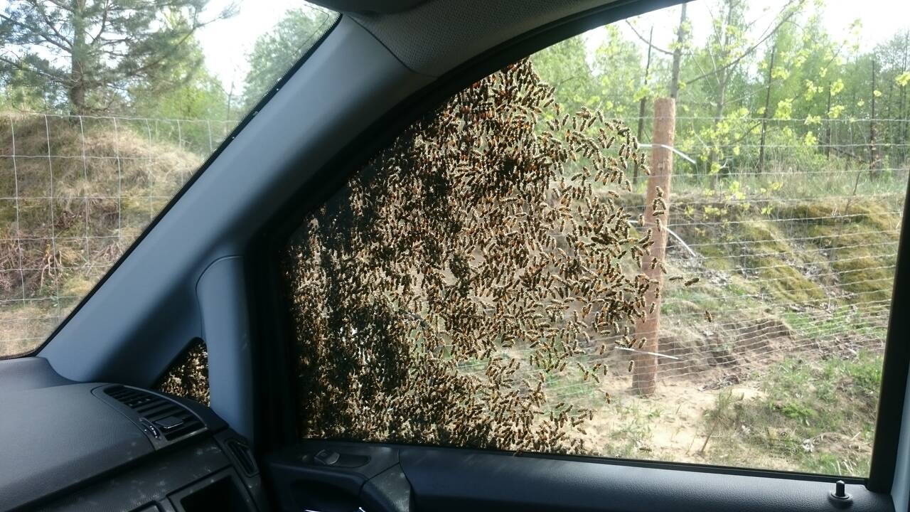 Ramūnas Žemaitis su sūnumi
