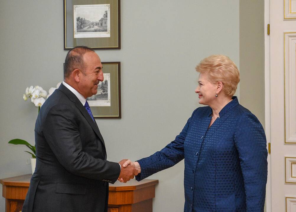 Mevlutu Cavugoğlu ir Dalia Grybauskaitė