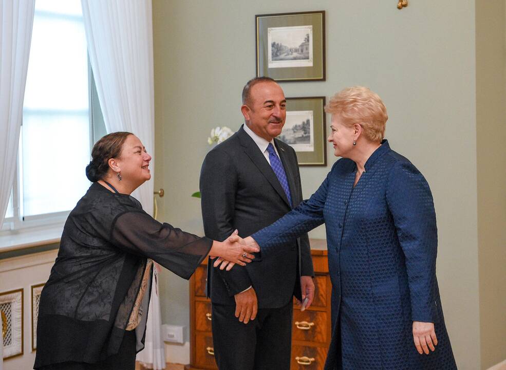 Mevlutu Cavugoğlu ir Dalia Grybauskaitė